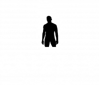 Grizzly Wears