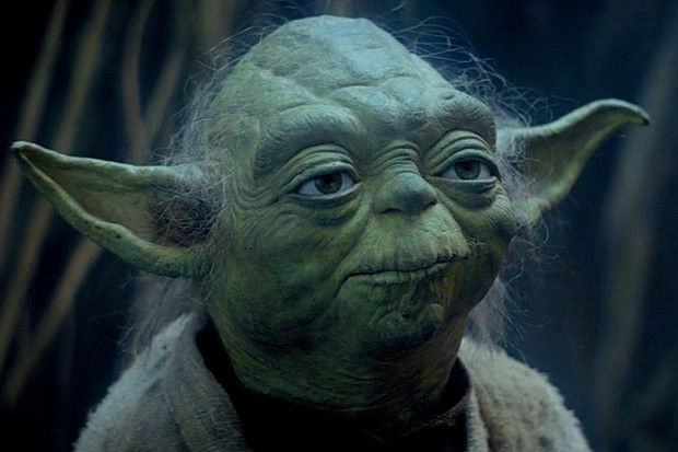 Yoda says Clear your mind of Excuses